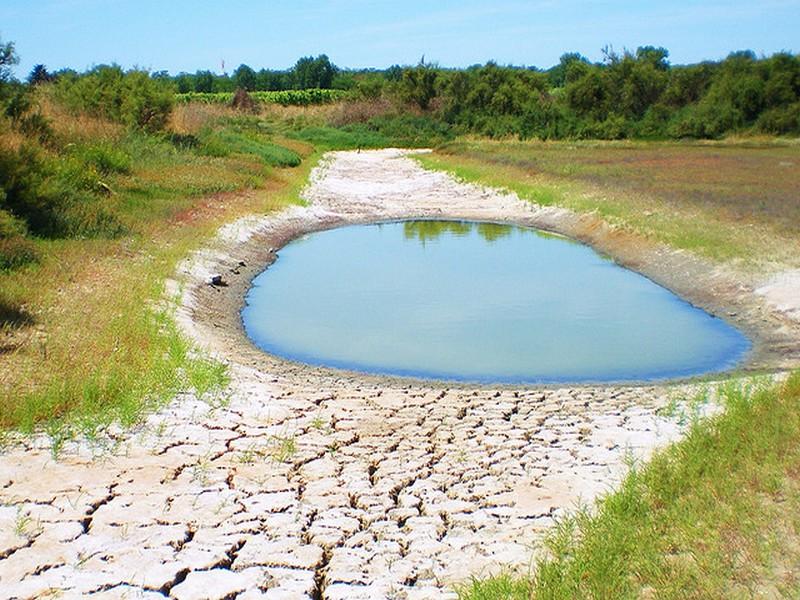 Conférence Internationale sur l’Eau et le Climat / Un livre bleu sur l’eau présenté à la COP 22