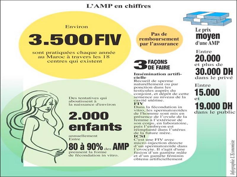 Assistance médicale à la procréation Les hôpitaux publics relèvent le défi des «bébés éprouvettes»