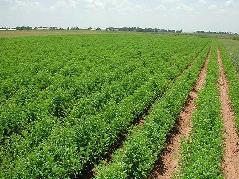 Région - agriculture d’avenir