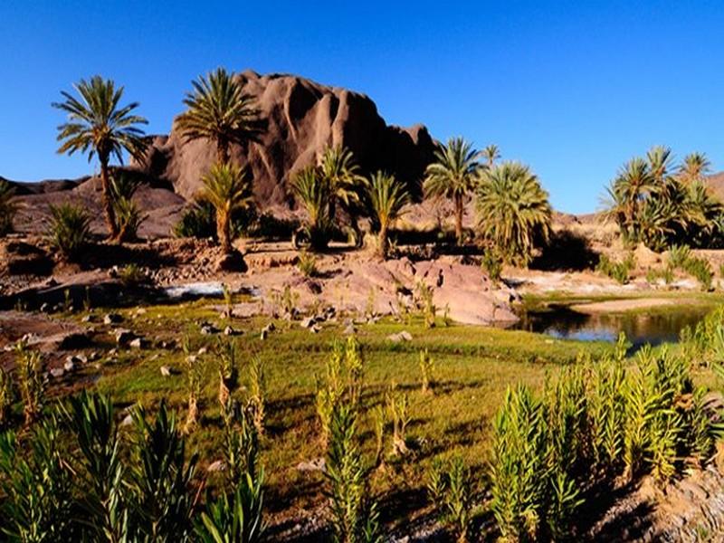 Souss Sahara Atlantique