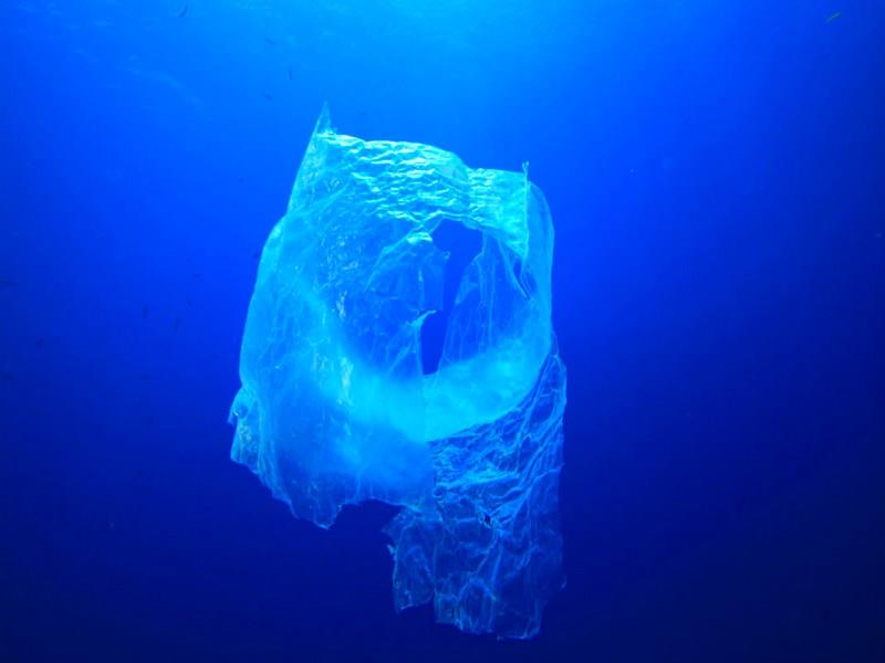 Développement durable