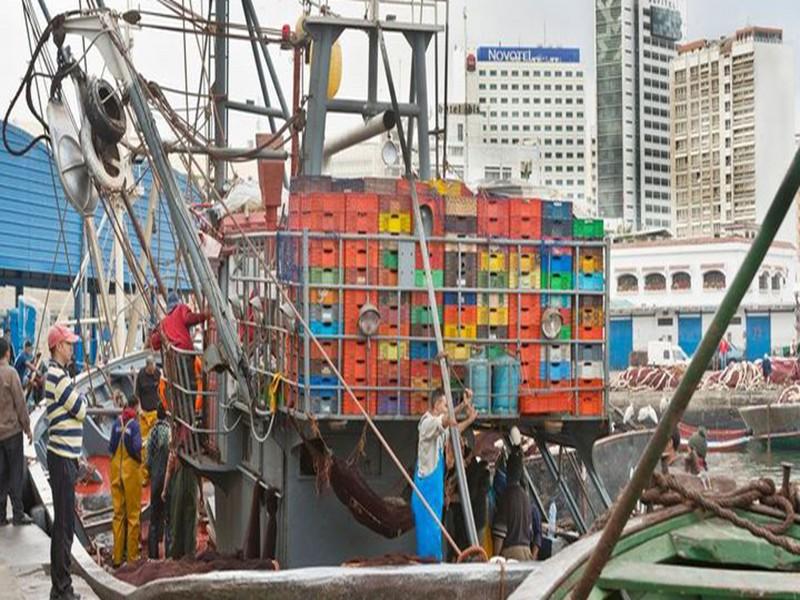 Port de pêche de Casablanca : Le concours architectural lancé