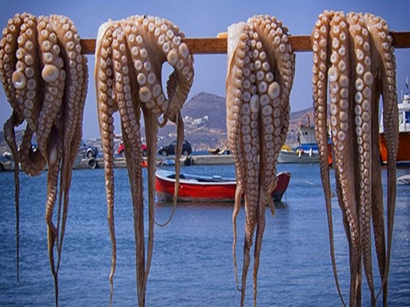 Agriculture-pêche -fôret 