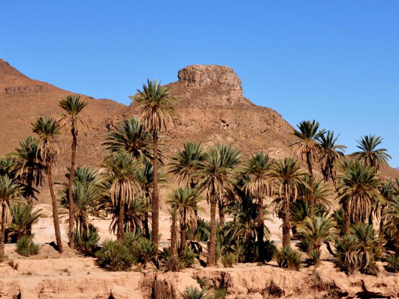 La région de Guelmim-Smara dispose d'importantes potentialités naturelles, touristiques, culturelles et historique