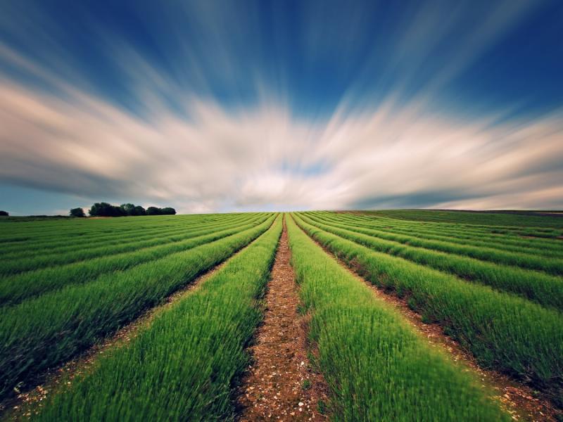 Consulting   L’agriculture crée ses agréments 