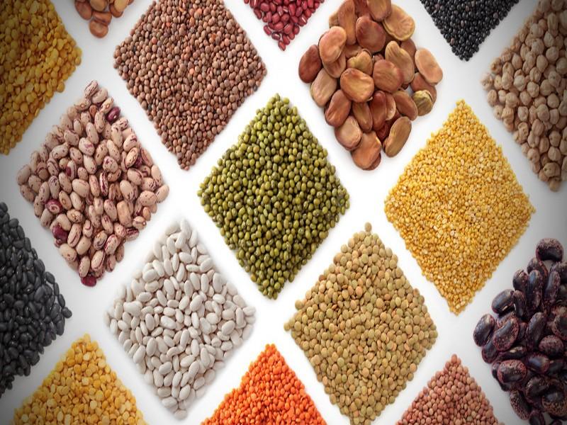 Développement des produits du terroir : Lancement du label collectif «Terroir du Maroc»