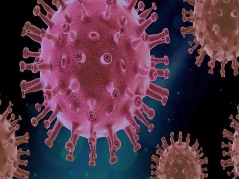 #MAROC_CONID19_VACCINS_VARIANTS: Vaccins marocains et efficacité contre le variant anglais